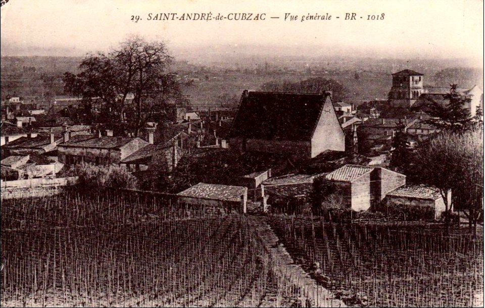 Saint-André-de-Cubzac - vue générale