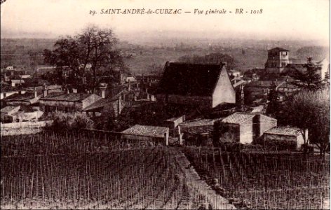Saint-André-de-Cubzac - vue générale