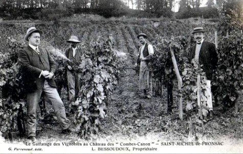 Saint-Michel-de-Fronsac – château Canon 2
