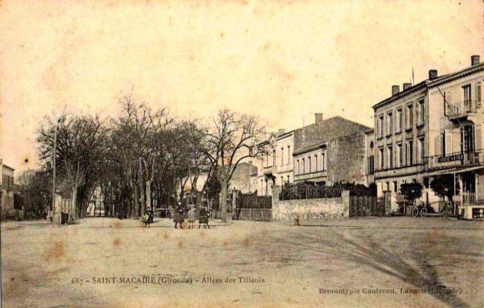 Saint-Macaire - allées des Tilleuls 1