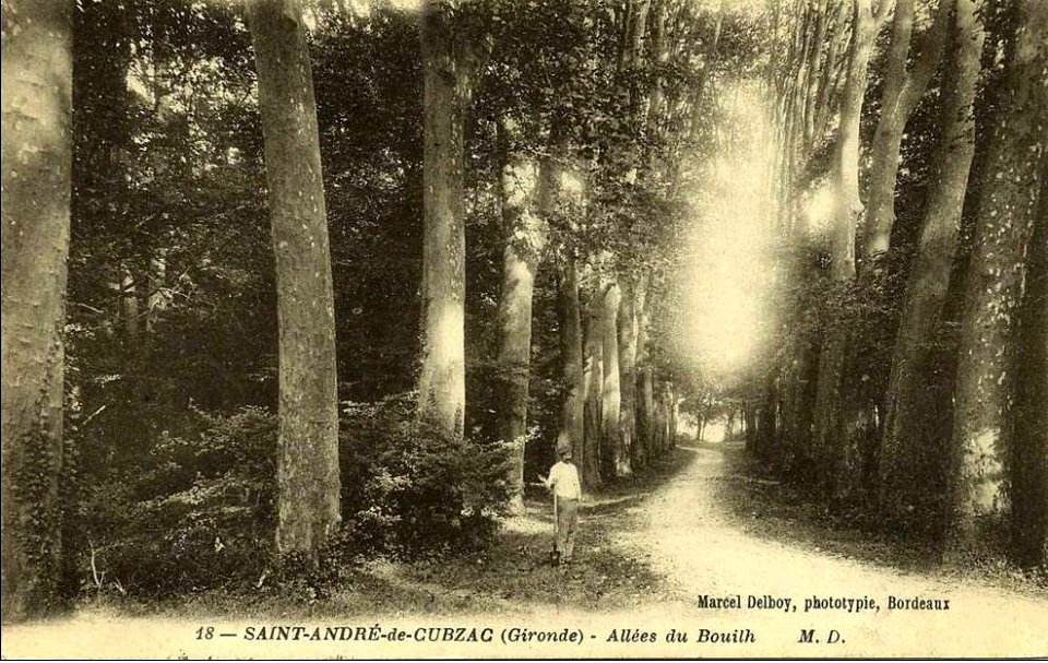 Saint-André-de-Cubzac - château du Bouilh 6