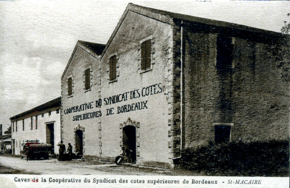 Saint-Pierre-d'Aurillac - Maison Alban Nibaut 4