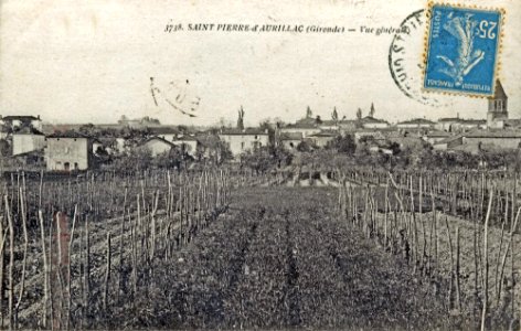 Saint-Pierre-d'Aurillac - Vue générale 1
