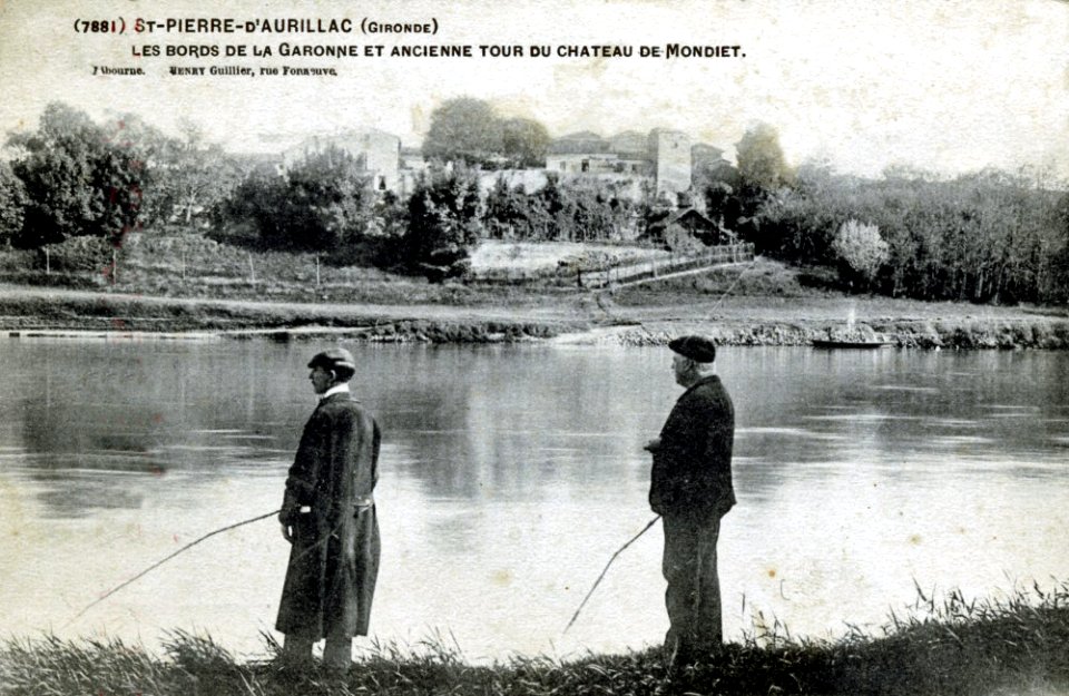 Saint-Pierre-d'Aurillac - Bords de la Garonne 12
