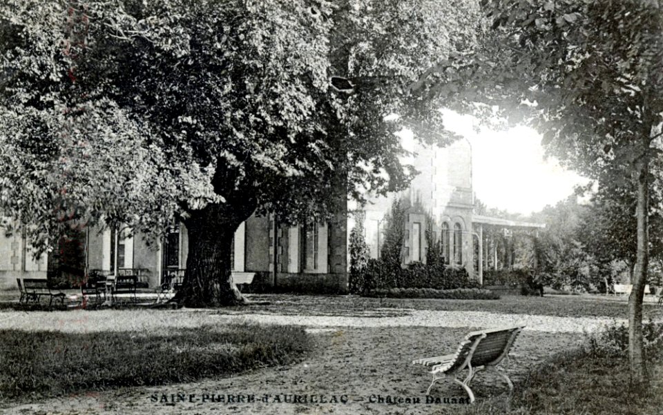 Saint-Pierre-d'Aurillac - château Daurat 8