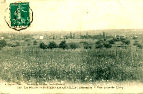 Saint-Pierre-d'Aurillac - Vue générale 3