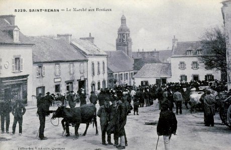 Saint-Renan Marché aux bestiaux Villard