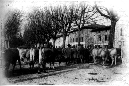 Saint-Romans, 1905, p227 de L'Isère les 533 communes - Sylvestre éditeur, Saint-Romans, cliché F F photo