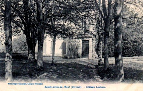 Sainte-Croix-du-Mont - château Loubens 1