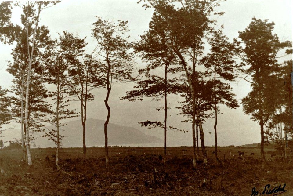 Saint-Joachim - Cap-Tourmente, vers 1910
