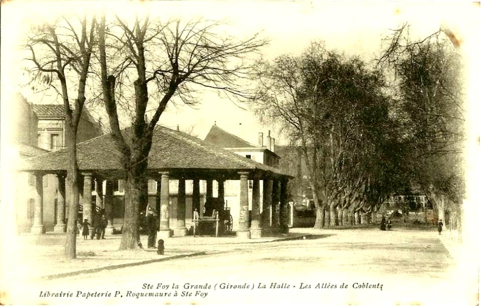 Sainte-Foy-la-Grande - allées de Coblentz 2
