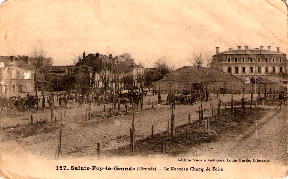 Sainte-Foy-la-Grande - Champ de Foire