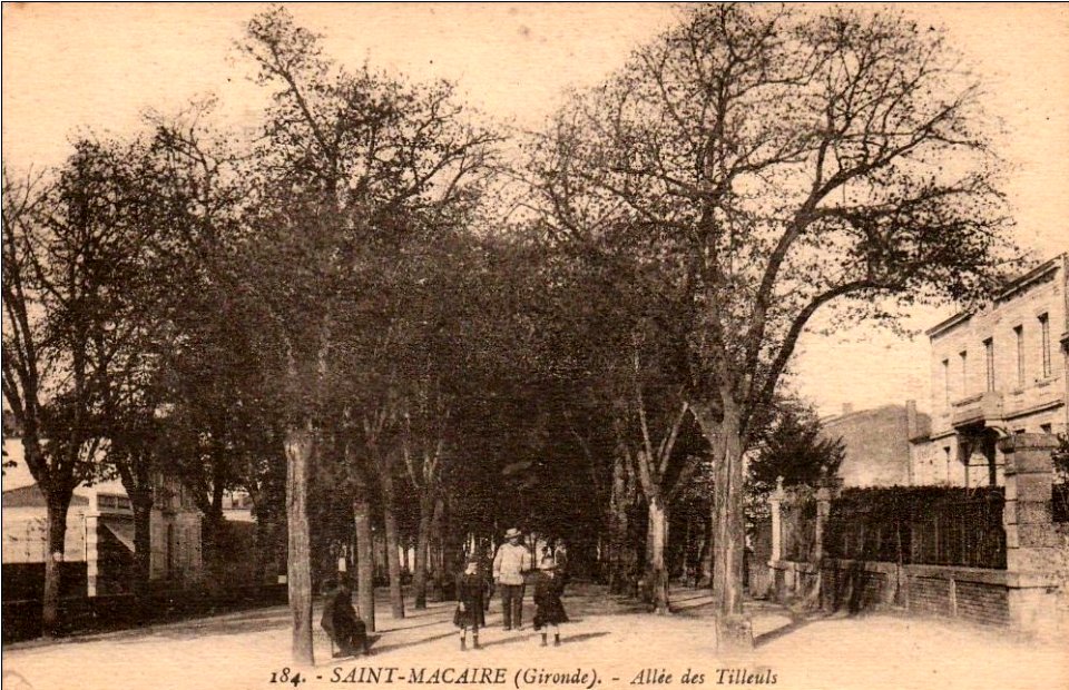 Saint-Macaire - allées des Tilleuls 2