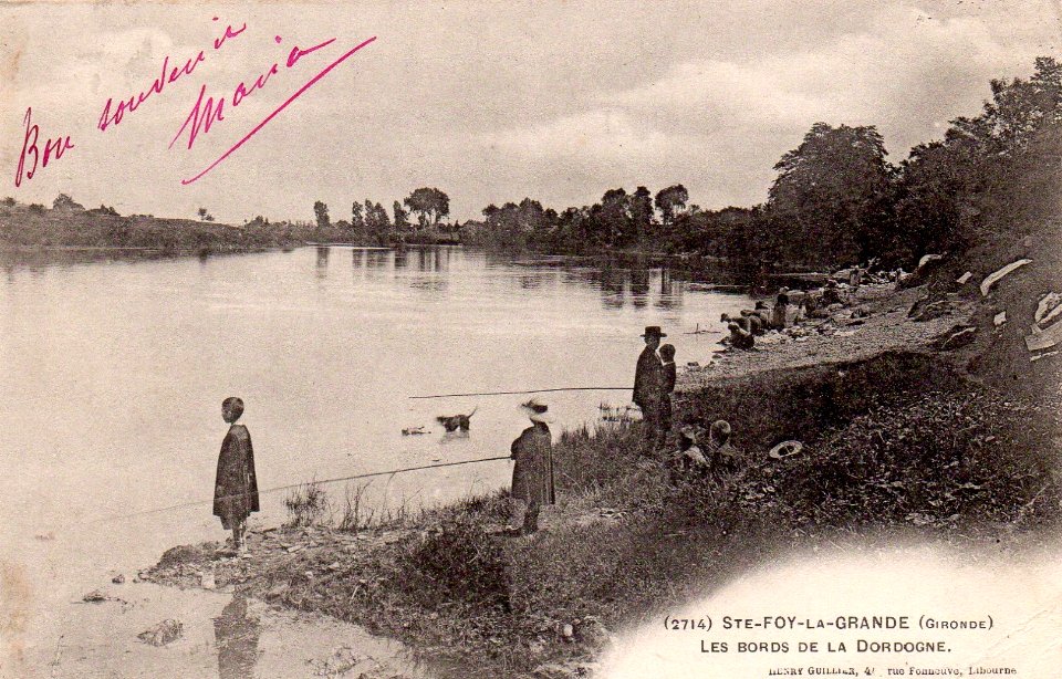 Sainte-Foy-la-Grande - bords de la Dordogne 8