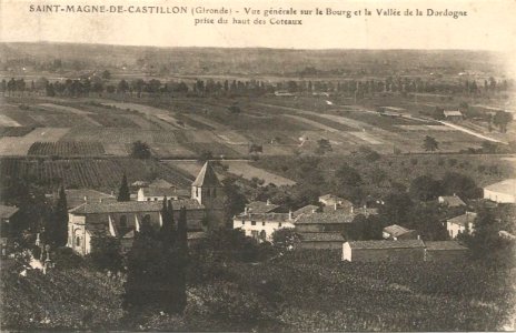 Saint-Magne-de-Castillon - vue générale 1