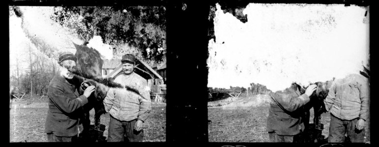 Saleux. M. Albarède. Mon cheval. M. Garic - Fonds Berthelé - 49Fi837