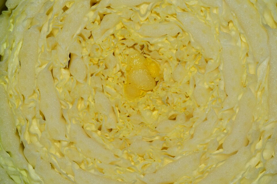 Vegetables eat close up