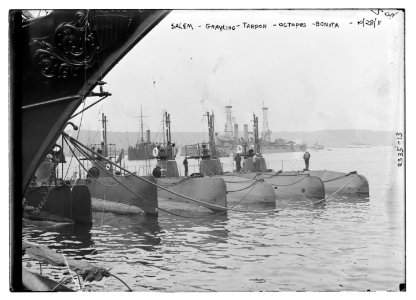 SALEM (i.e. SALMON), GRAYLING, TARPON, OCTOPUS, and BONITA LCCN2014689964