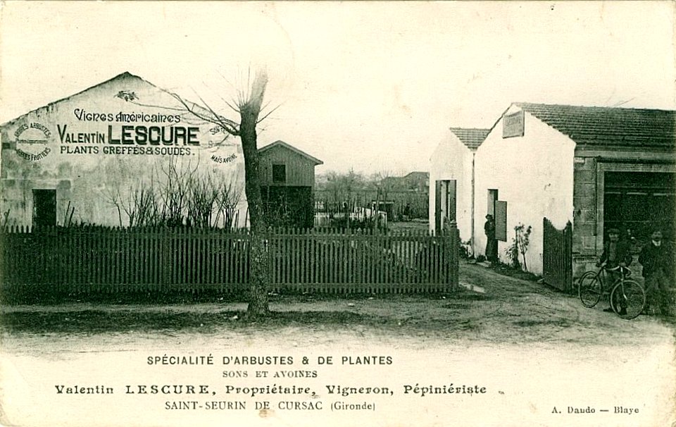 Saint-Seurin-de-Cursac - bourg