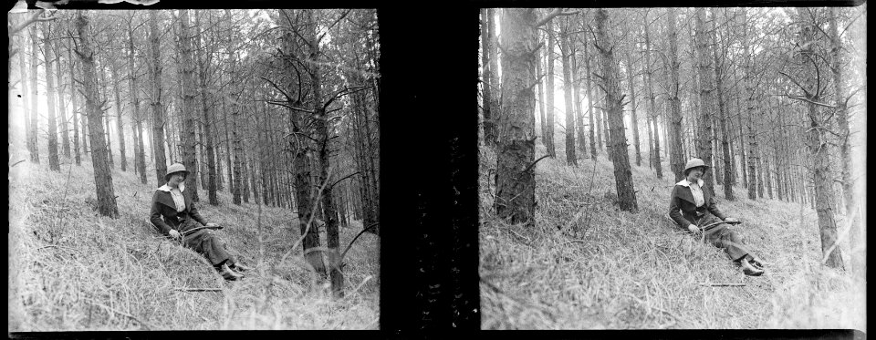 Saleux. Forêt près de Vers. Mlle Cornu - Fonds Berthelé - 49Fi213