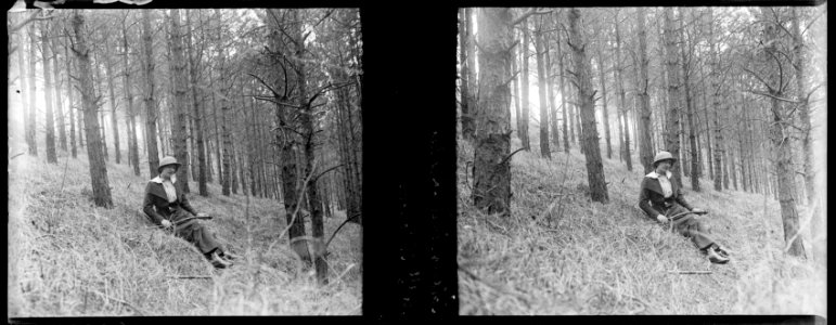 Saleux. Forêt près de Vers. Mlle Cornu - Fonds Berthelé - 49Fi213
