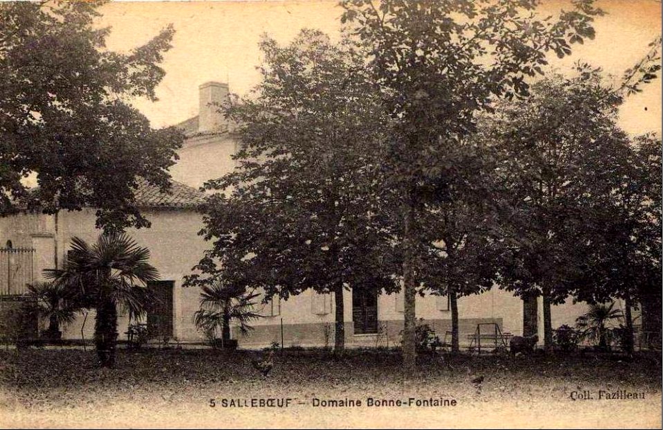 Salleboeuf domaine bonne-fontaine