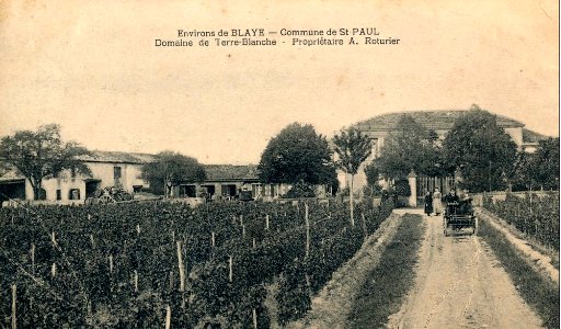 Saint-Paul - domaine de Terre-blanche