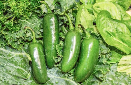 Freshness leaf green vegetables photo