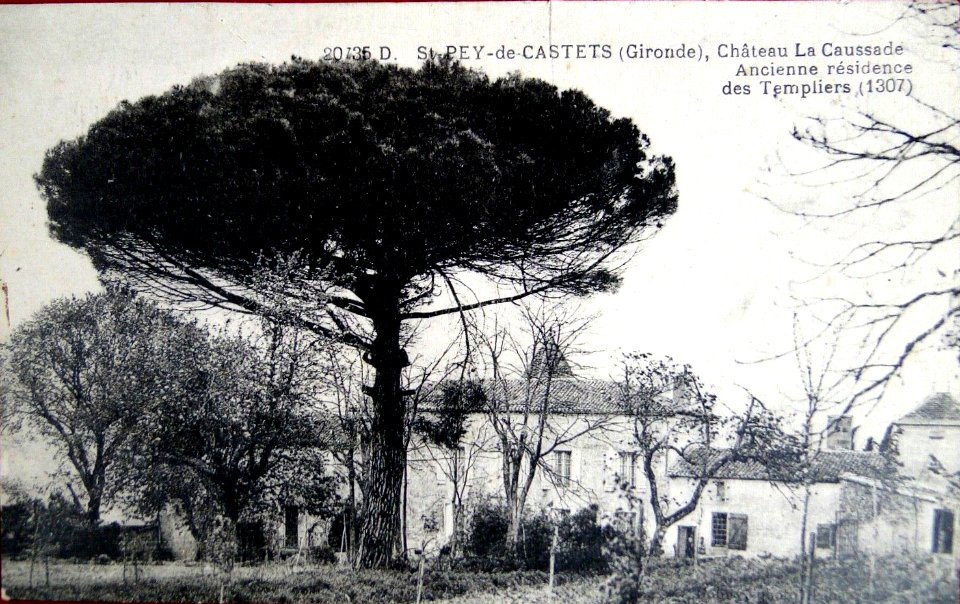 Saint-Pey-de-Castets - château La Caussade