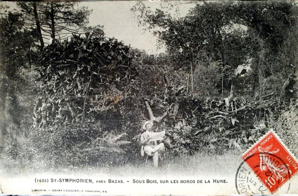 Saint-Symphorien - bords de la Hure 2