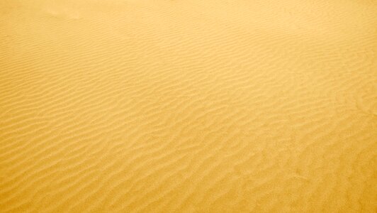 Beach coast nature