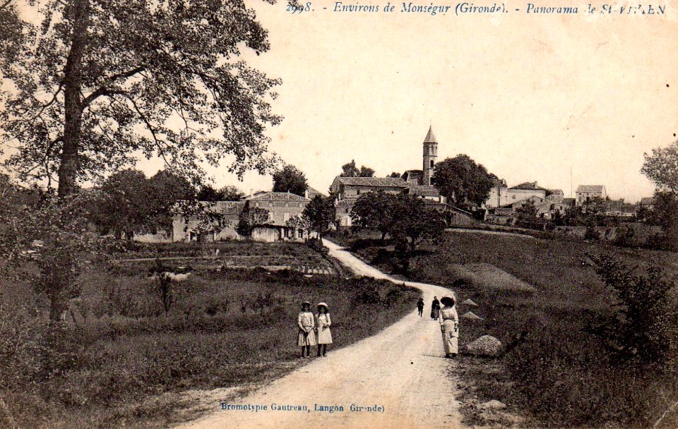 Saint-Vivien-de-Monségur - vue générale 1
