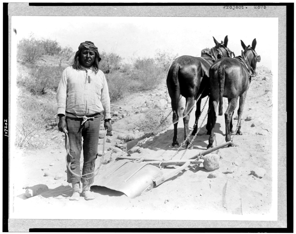 Salt River Project, Arizona. Cushong, or, fat Hen, a laborer on the Salt River Project, with two mules LCCN93502782