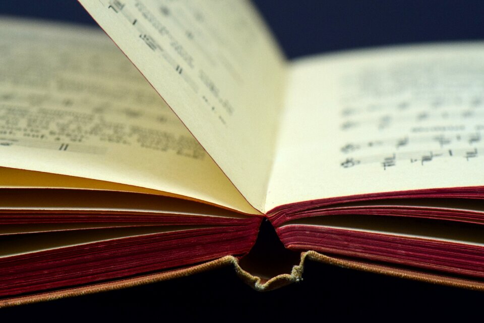 Education romantic song book
