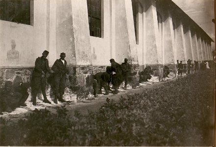 Salubr.Kommission 10. Villach. Stuhlprobenentnahme; I. (BildID 15798698)