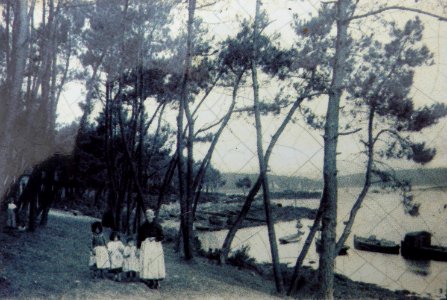 Sainte-Marine L'Anse de Pochau et les viviers flottants