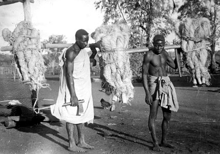 Sakalavmän med raffiabast. S-te Marie de Marovoay, nordvästra delen av ön, Madagaskar - SMVK - 001731