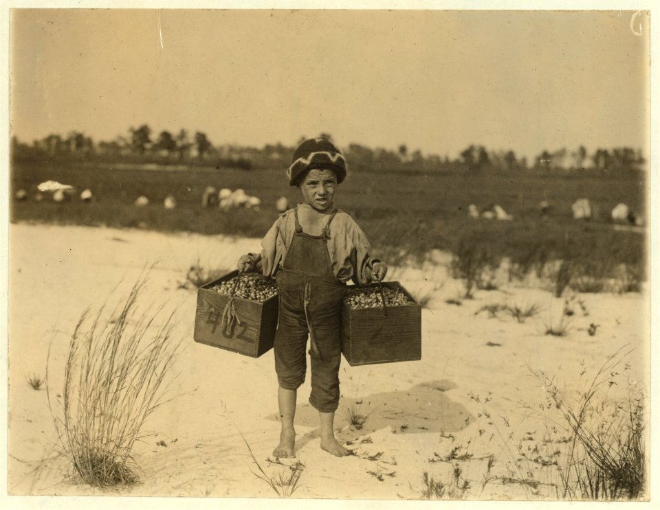 Salvin Nocito, 5 years old, carries 2 pecks of cranberries for long distance to the 'bushel-man.' Whites Bog, Browns Mills, N.J. Sept. 28, 1910. Witness E. F. Brown. LOC cph.3a03543