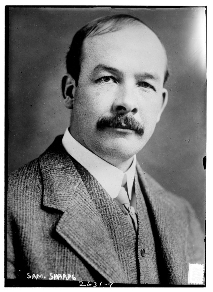 Sam Sharpe LCCN2014692498