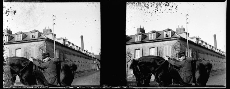Saleux RB et son cheval - Fonds Berthelé - 49Fi970