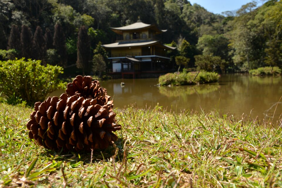 Outdoors wood temple