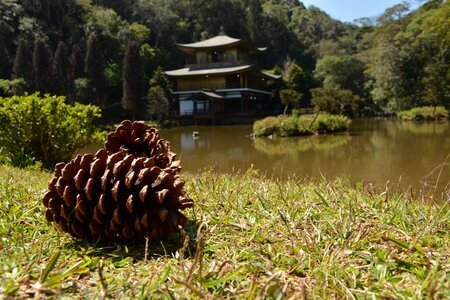 Outdoors wood temple