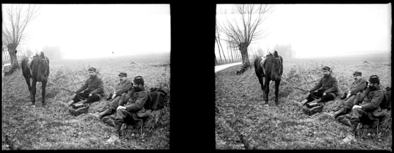 Saleux. Marche. Couches. Toulze. Donaville. cheval - Fonds Berthelé - 49Fi236