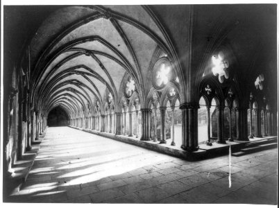 Salisbury Cathedral cloister LCCN2016653549