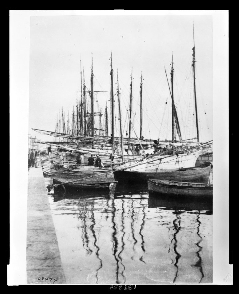 Salonika, where the Black Sea boats meet, is a great trading center for the Near East This forest of masts is located at the pier set aside for small fishing and trading craft that ply LCCN2010650542