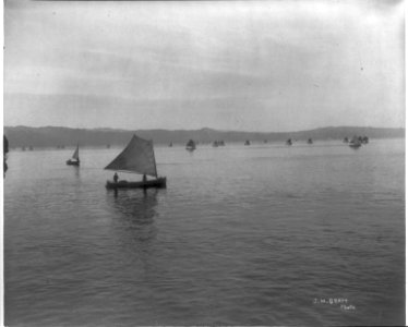 Salmon fishing on Columbia River, Ore.- coming in with the catch (small boats) LCCN2006688450