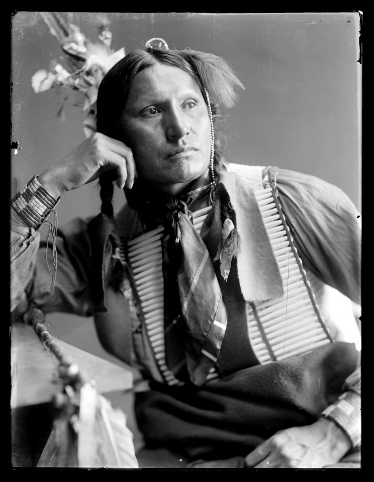 Samuel American Horse, American Indian LCCN2006679590