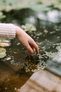 Flower water blur