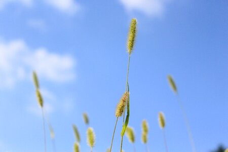Heaven blue sky s