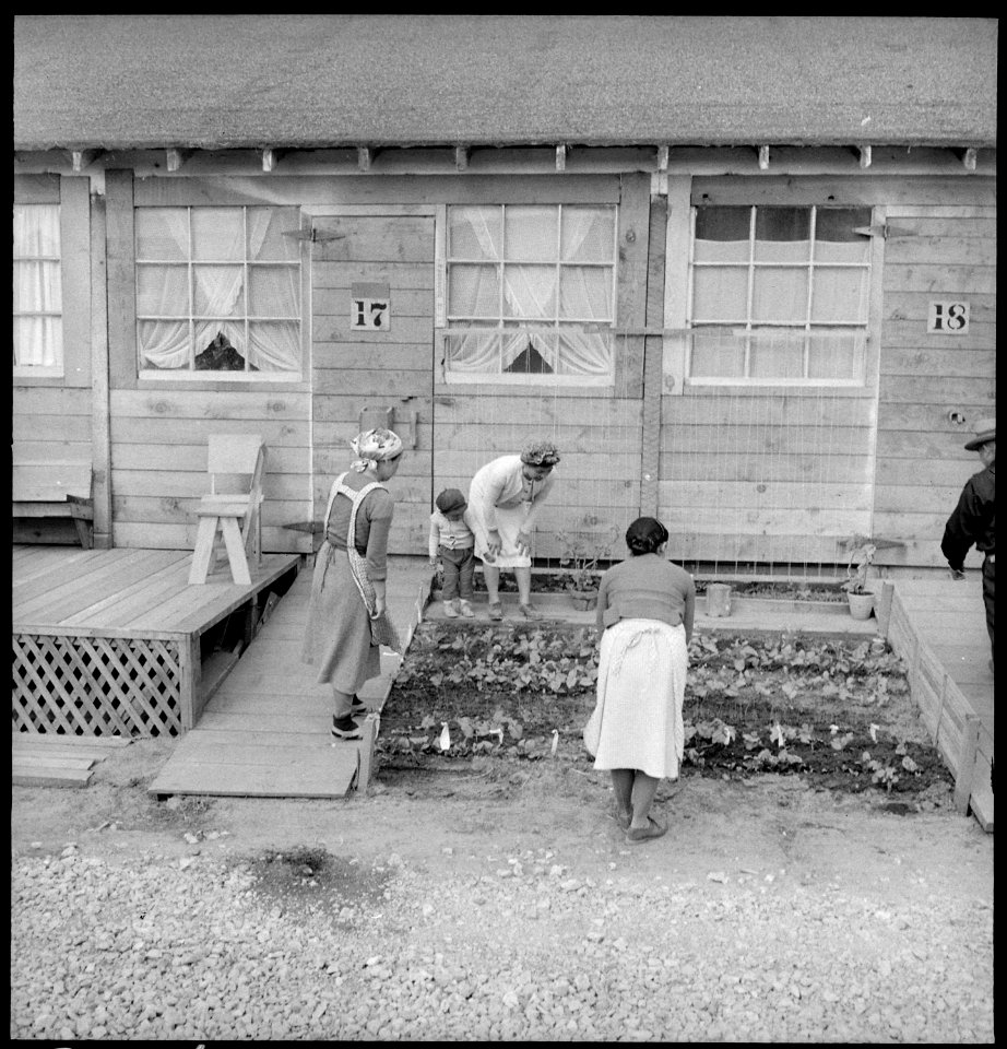 San Bruno, California. Members of the Fujita family inspecting their tiny vegetable garden in front . . . - NARA - 537910